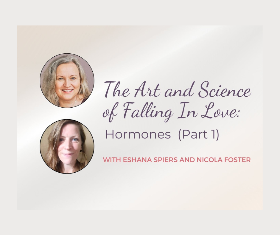 The Art and Science of Falling in Love : Part One – Hormones