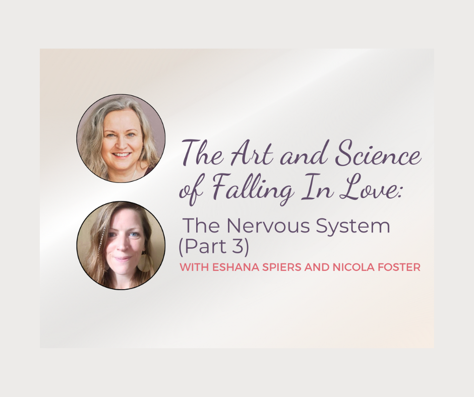 The Art and Science of Falling in Love : Part Three – The Nervous System